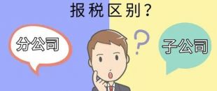 設(shè)立分公司和子公司，哪個(gè)更節(jié)稅？看完就明白了！
